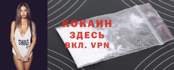гашик Новодвинск