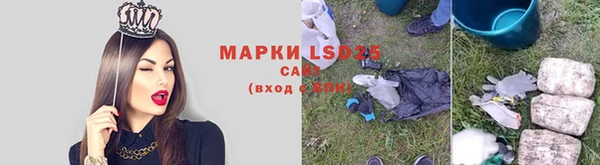 гашик Новодвинск