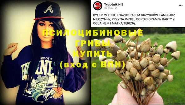 эйфоретик Новозыбков