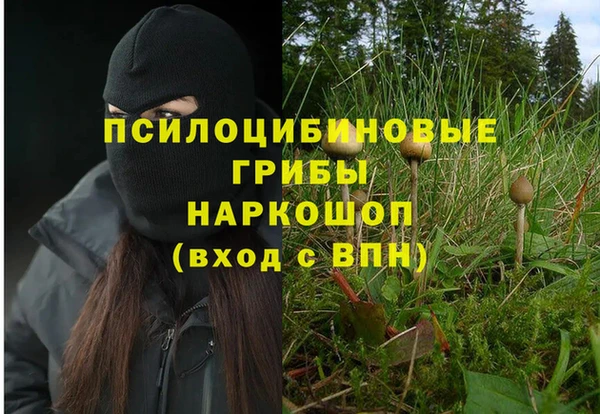 эйфоретик Новозыбков