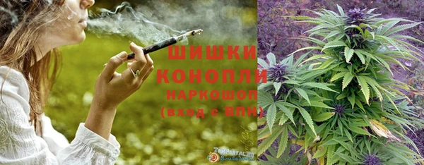 гашик Новодвинск