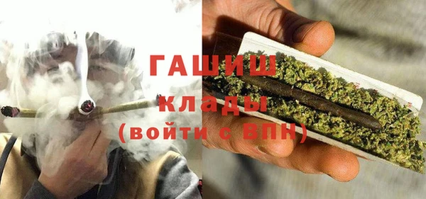 гашик Новодвинск