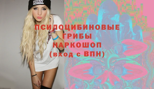 гашик Новодвинск