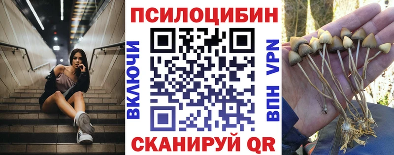 Купить где  Кольчугино  Псилоцибиновые грибы ЛСД 
